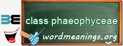 WordMeaning blackboard for class phaeophyceae